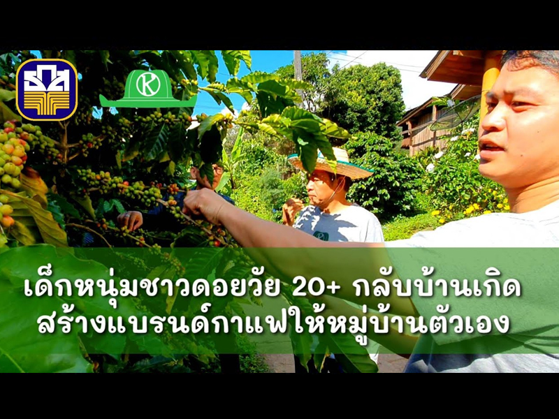 หนุ่มดอยกลับบ้านเกิด สร้างแบรนด์กาแฟให้หมู่บ้านตัวเอง (เกษตรก้าวไกลไปด้วยกัน) – มีคลิป