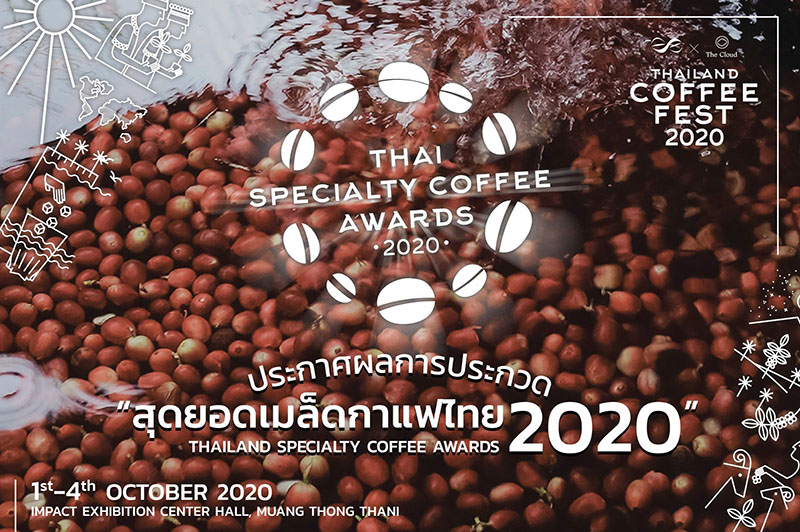 กาแฟบ้านแม่แจ๋ม ได้รับรางวัล ‘สุดยอดเมล็ดกาแฟไทย 2020’ ประเภท Natural Process